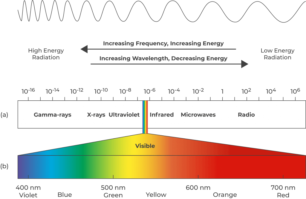 Infrared Light Therapy