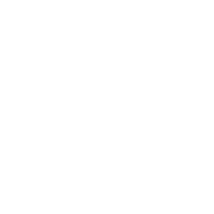 Seniors BlueBook Trust Badge - White