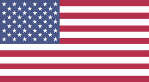 USA mini flag
